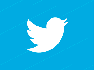 Image animée du logo Twitter